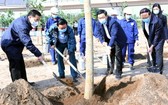 河內市和資源與環境部領導參加植樹活動。(圖源:K.T)