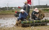 FAO:預計朝鮮今年將缺糧86萬噸。(示意圖源:韓聯社)