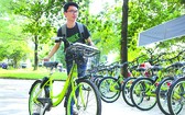 市中心區將提供公共自行車服務。