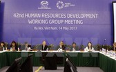人力資源發展工作小組(HRDWG) 全體會議。（圖源：文疊/越通社）