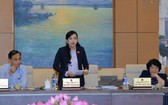 民願委員會主任阮青海在會議上發表意見。（圖源：Q.H）