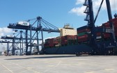 圖為丐麟碼頭卸船機在從 Huyndai Premium 大型貨船上卸貨。（圖源：德孝）