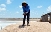 圖為薄寮省東海縣鹽民在收獲海鹽。（資料圖：互聯網）