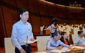 國會代表阮林成在會議上發表見解並提出建議。（圖源：廷南）