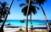 椰子樹、沙灘、大海構成美麗的景色。（圖源：互聯網）