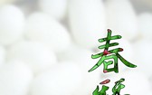《春蠶》封面圖。