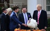 美總統特朗普（右一）參加火雞“赦免”儀式。（圖源：互聯網）