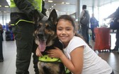 哥倫比亞販毒集團對索步拉緝毒犬發出高達7萬美元的懸賞令。（圖源：互聯網）