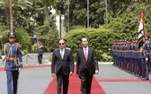 埃及總統塞西與國家主席陳大光檢閱儀仗隊。（圖源：越通社）