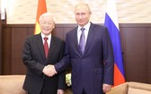 阮富仲總書記與俄羅斯總統普京會談。（圖源：越通社）