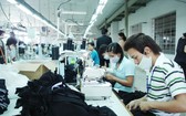 未來期間，我國製衣工業將需要大量有高技術水平的勞工以確保產品質量。