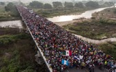 難民大軍人數驚人。（圖源：AP）
