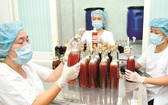 海榮Plastic公司向日本出口的蜂蜜產品。