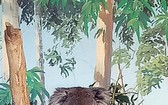 穿上棕色背心似的Koala