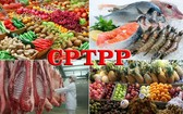 CPTPP 協定與我國企業的商機。（示意圖源：田升）