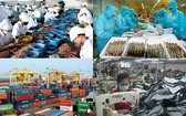 拓寬越南商品出口市場。（示意圖源：互聯網）