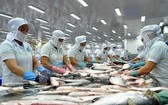 2018年查魚出口金額近23億美元，高於此前預測的21億至22億美元。（示意圖源：互聯網）
