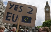 英國民眾呼籲舉行第二次公投。（圖源：AP）