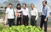市越南祖國陣線委員會每年進行考察、檢查農產生產領域的食品衛生安全。 