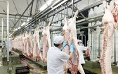 工業屠宰豬肉能確保肉品的新鮮和衛生安全。