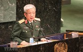 國防部副部長阮志詠上將在會議上上發言。（圖源：越通社）