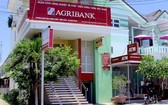 圖為農業與農村發展銀行(Agribank)慶和省分行。（圖源：互聯網）