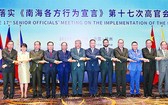 圖為阮國勇副部長(最右)和各國官員在落實DOC第十七次高官會議上。（圖源：互聯網）