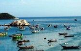 資源與環境部將與薄寮省人委會配合將於本月31日至下月1日舉行“越南海洋與海島週”及“為環境行動月”運動發起儀式。（示意圖源：越通社）