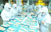 本市一家韓國企業的食品加工工序。
