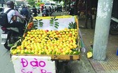來自中國的油桃正充斥市場。（圖源：互聯網）