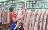 集散市場豬量大增價格下降。（示意圖源：TL） 