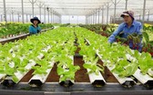 古芝縣發展高科技農業。（圖源：互聯網）