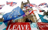 歐洲理事會主席圖斯克28日表示，歐盟同意英國押後至2020年1月31日“脫歐”。圖為反脫歐的男子在英國國會外場揮舞歐盟旗幟。（圖源：路透社）