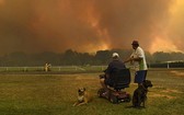 當地時間 11月12日，叢林大火在悉尼以北約600公里的Nana Glen小鎮附近肆虐。（圖源：AFP）