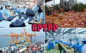 據世銀表示，截至2030年，越南出口至CPTPP地區各國市場將從540億美元增至800億美元，佔越南出口總金額的25%。（示意圖源：田升）