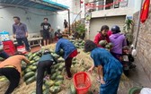 只在短短的10分鐘之內 3噸西瓜已獲免費派發。（圖源：黎豐）
