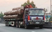 既超載又缺乏安全性的運送巨木卡車在1A國道上行駛。（圖源：VOV）