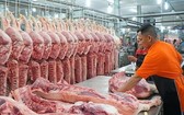 預計從本月起，復養豬群的產品將遞增，確保全年豬肉供應量逾400萬噸。（圖源：秋莊）