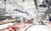 Masan MEATLife股份公司在隆安省投建安全豬肉加工組合，加強為南部市場服務。