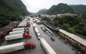 數十輛運載農產品的集裝箱大貨車在諒山省新清口岸附近滯留等待通關。（圖源：互聯網）