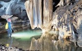 在廣平省新發現的洞穴之一。（圖源：互聯網）