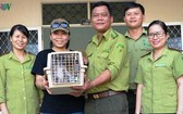 平定省林檢分局向越南野生動物保護中心代表移交一隻珍稀灰足猴。（圖源：VOV）
