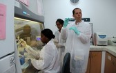 聯合國泛美衛生組織為圭亞那的實驗室專家提供新冠肺炎病毒測試培訓。（圖源：OPS/OMS）