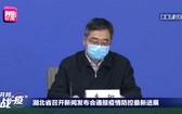 湖北省疾病預防控制中心副主任李陽。（圖源：視頻截圖）