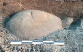 考古團隊發現巨型石龜像。（圖源：互聯網）