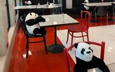 熊貓玩偶坐在客人對面，恍如懂得聆聽他人心事。（圖源：互聯網）