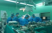 醫療團隊為患者進行肝髒移植手術。（圖源：鳳凰）