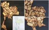日籍女留學生焗製地圖餅乾表達對泰國的愛意。（圖源：互聯網）