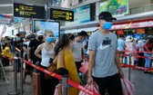 遊客在峴港機場辦理手續。（圖源：TTO）