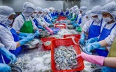 EVFTA 協定生效後蝦類出口獲益良多。（圖源：潘清强）